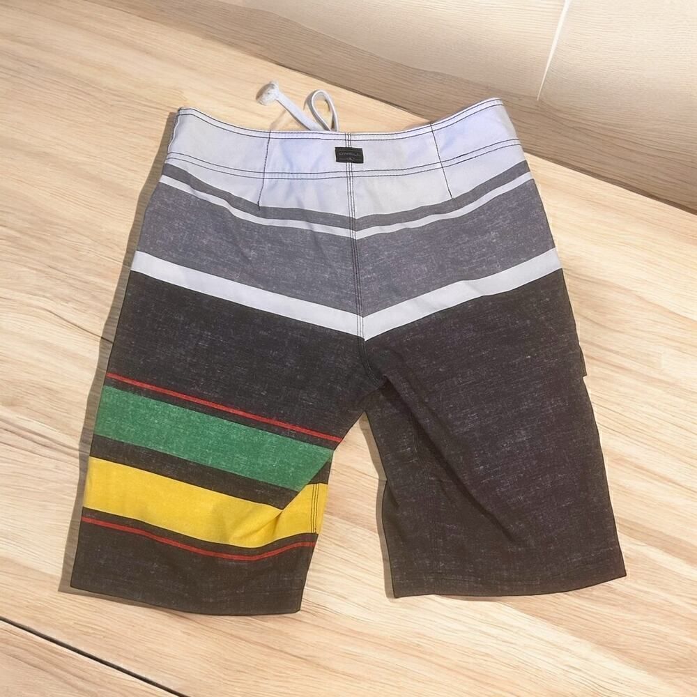 O'Neill Multicolor Striped Swim Trunks